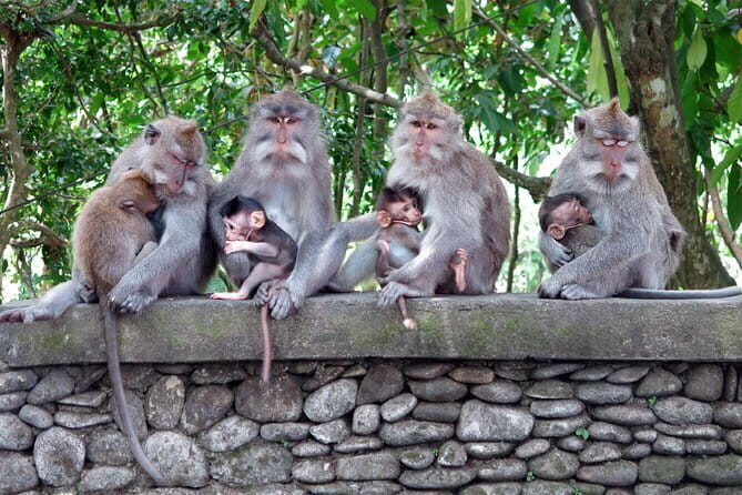 Bali Tour Driver - Puseh Batuan Temple: ornaments, roof details, and a local pace