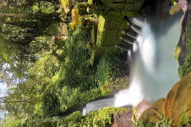 Bali Tour Driver - Tegenungan Waterfall: a real outdoor break (and maybe a swim)