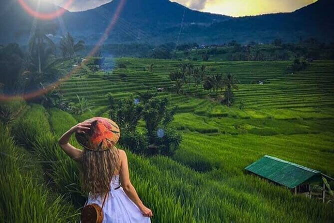 Bali Tour: Tanah Lot, UNESCO Rice Terrace and Water Temple - Price and Value: Does $52.25 Make Sense?