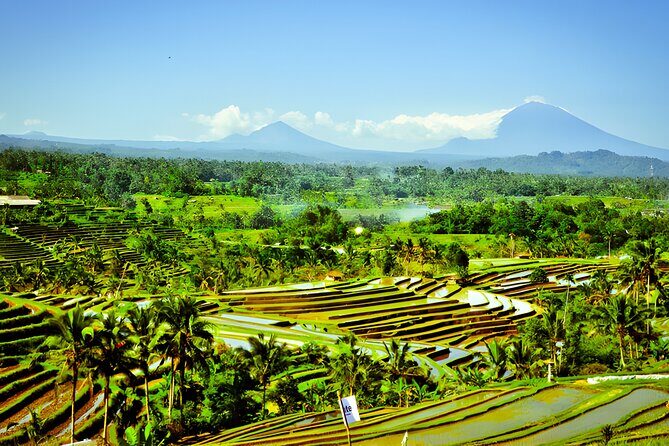 Bali Tour: The Best Way to Explore The Highlight of Bali - Handara Iconic Gate: camera time inside a landmark area