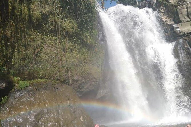 Bali Tour: Ubud Most Popular Place - Pickup, timing, and how to pace a 10-hour highlights day