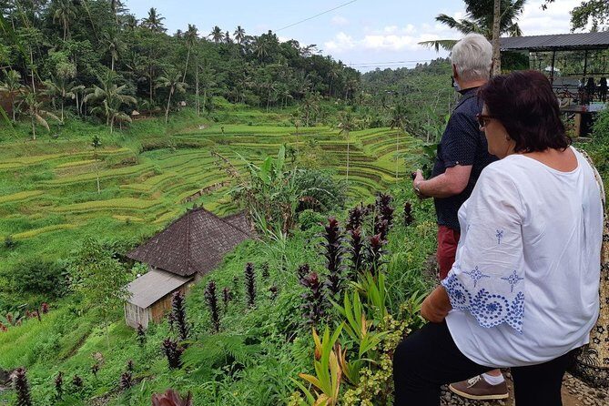 Bali Tour: Ubud Most Popular Place - Ubud’s traditional art market and Puri Ubud palace: culture you can touch