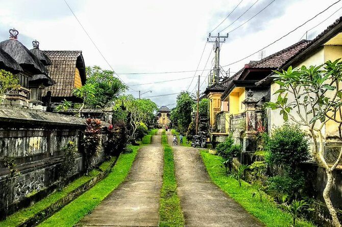 Bali Traditional Village Experience - Key moments I’d plan around