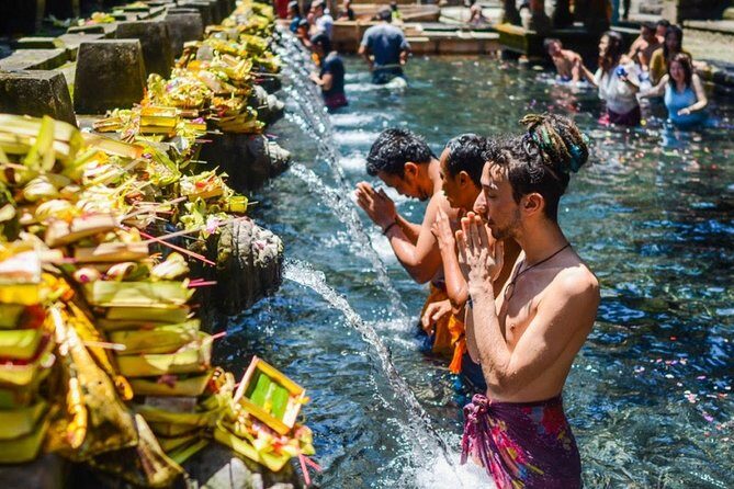 Bali Ubud and Volcano Day Tours - Sacred Monkey Forest Sanctuary: photos, but respect the setting