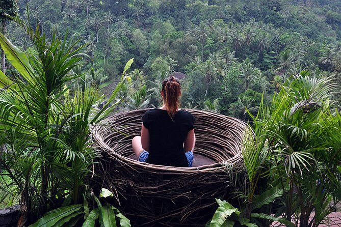 Bali Ubud and Volcano Day Tours - Tegalalang rice terraces: why they work even on a tight schedule