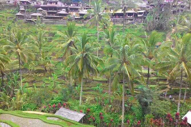 Bali Ubud & Kintamani Volcano Tour -All Inclusive - How the Ubud-to-Kintamani Route Fits Together
