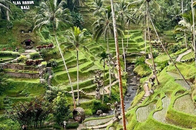 Bali Ubud Private Costomized Tour - Explore Bali your way - Tegenungan Waterfall: The Refreshing Midday Reset