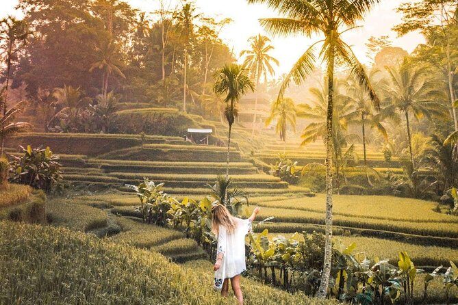 Bali Ubud private Tour with Ubud Bali Driver - FREE WIFI - Comfort details: AC, bottled water, and on-board Wi-Fi