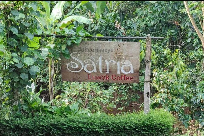 Bali Ubud private Tour with Ubud Bali Driver - FREE WIFI - Tegalalang Rice Terrace: what to look for beyond the photos