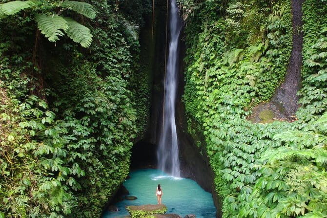 Bali: Ubud (Temple, Spring, Rice Terraces, & Waterfall) - Sacred Monkey Forest Sanctuary: nature, temples, and conservation