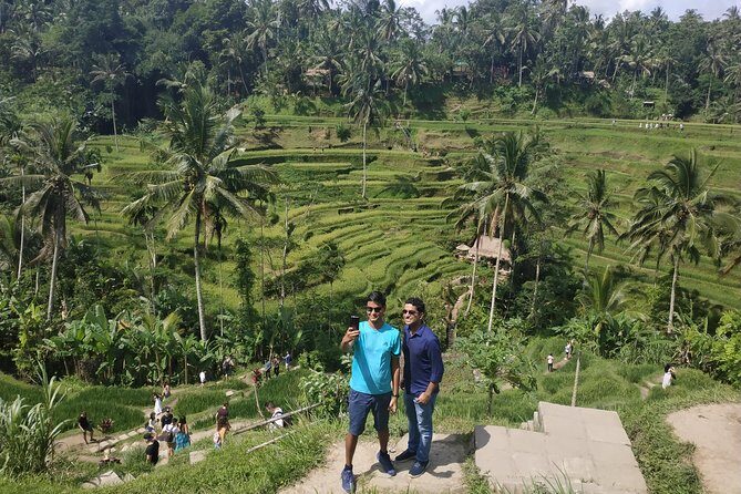 Bali Ubud Tour - Stop-by-stop breakdown: what to expect and how to enjoy each one