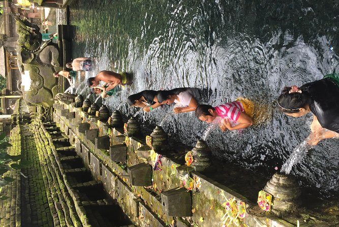 Bali Ubud Tour - Who this tour suits best