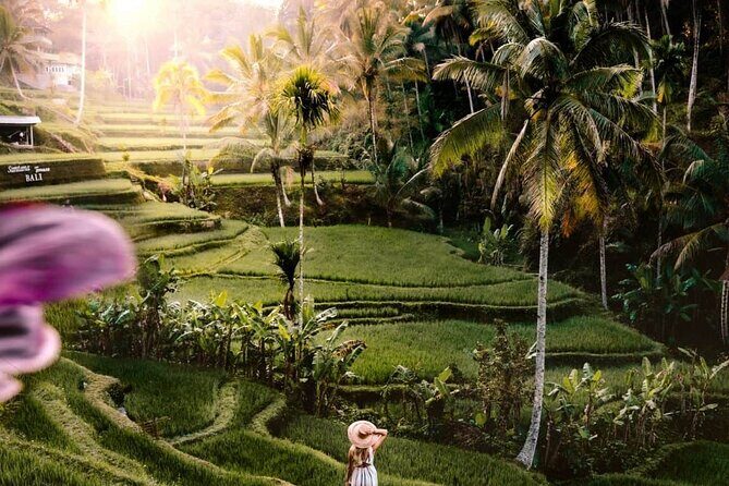 Bali Ubud Tour: Monkey Forest, Waterfall & Rice Terrace - Stop 2: Tegalalang Rice Terrace for real time in the views