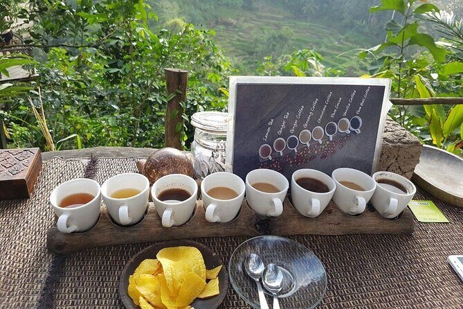 Bali Ubud Tour: Monkey Forest, Waterfall & Rice Terrace - Stop 6: Tegenungan Waterfall for the green valley views