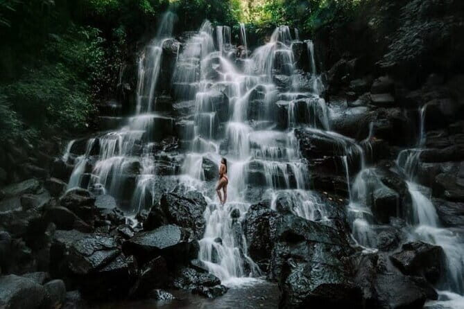 Bali Ubud Tour Monkey Forest, Waterfall, Temple & Rice Terrace - Price and value: what $27.51 buys in real-world terms