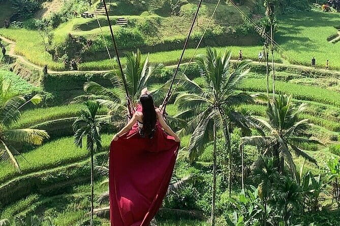 Bali Ubud Tour Monkey Forest, Waterfall, Temple & Rice Terrace - Pickup, timing, and how to stay comfortable in the heat