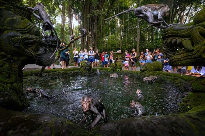 Bali Ubud Zipline, Monkey Forest and Waterfall Adventure - Hotel Pickup, Private Group Feel, and Mobile Tickets That Reduce Hassle