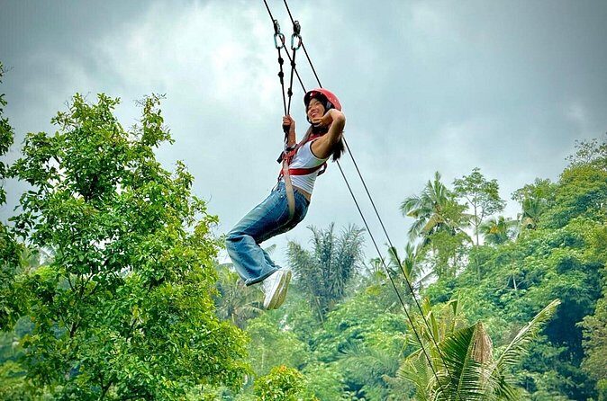 Bali Ubud Zipline, Monkey Forest and Waterfall Adventure - Price and Value: Is $27.36 a Good Deal for This Mix?