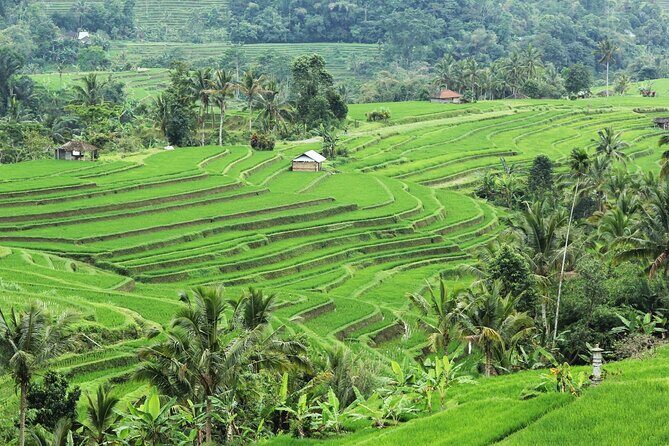 Bali UNESCO Sites: Water Temples and Jatiluwih Rice Terrace Tour - Stop 4: Tanah Lot at the sea and the sunset factor