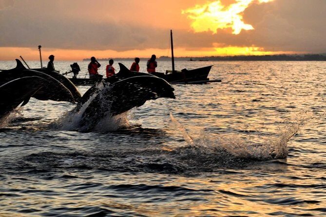 Bali Watching Dolphin at Lovina Beach & aling aling waterfall - Key highlights at a glance
