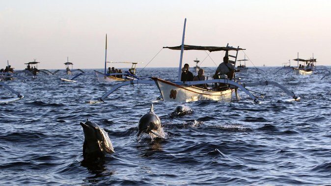 Bali Watching Dolphin at Lovina Beach & aling aling waterfall - Why Lovina at Sunrise Beats a Lazy Dolphin Search