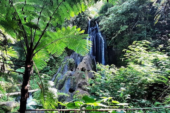 Bali Waterfall in One Day Tours, Hidden Waterfall - All Inclusive - The 7:00am advantage for Bali waterfalls
