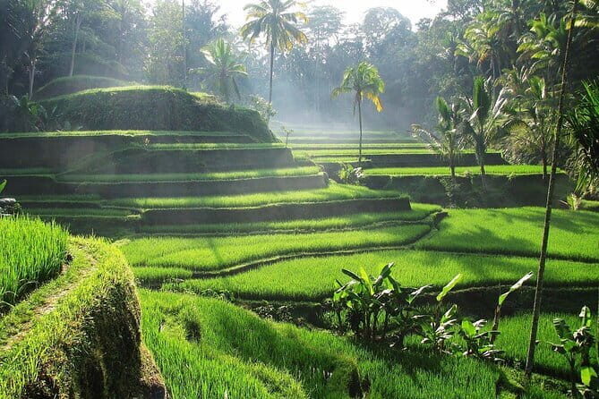 Bali Waterfall in One Day Tours, Hidden Waterfall - All Inclusive - Stop 4: Grudugan Waterfall for extra waterfall time in the Ubud area