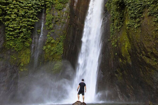 Bali Waterfall Tour – Hidden Spot All Inclusive Private Day Trip - Stop Two: Banyumala Twin Waterfalls, hydrangeas, and jungle trail time