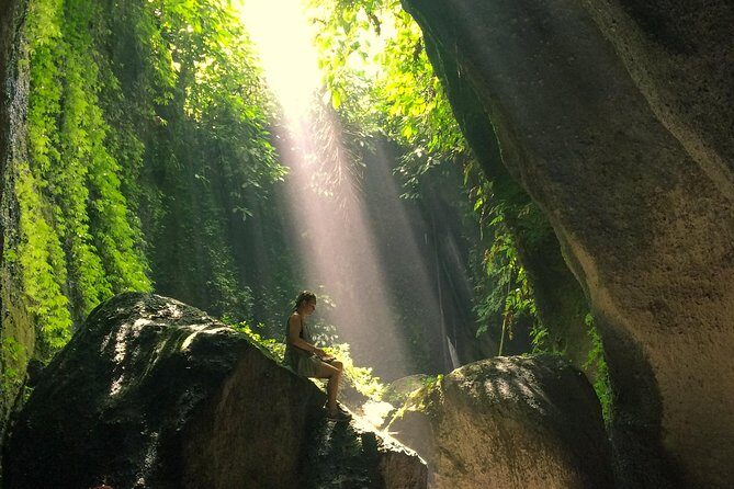 Bali Waterfalls and Temples Tour - Your private setup: hotel pickup, driver time, and small-group flexibility