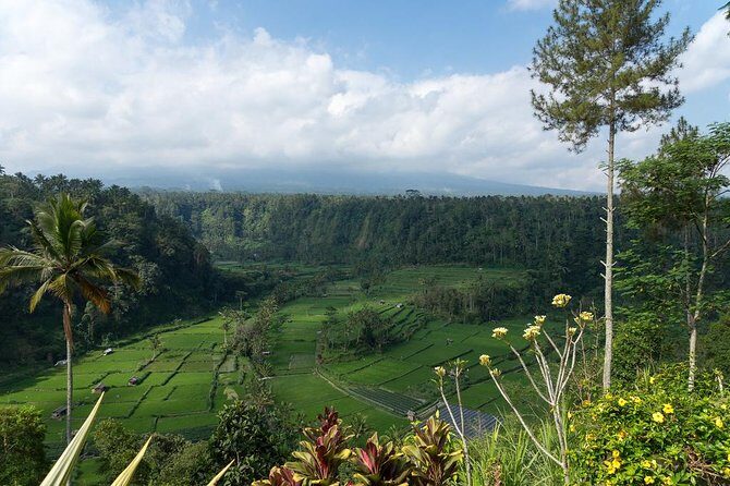 Bali Waterfalls and Temples Tour - Ristorante Lereng Agung lunch break: good valley views, but know what’s included