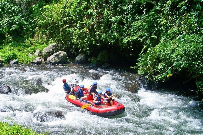 Bali White Water Rafting at Telaga Waja River - Who Should Book Telaga Waja (and Who Might Think Twice)