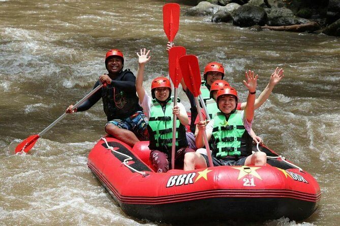 Bali White Water Rafting - Infinity - Key highlights