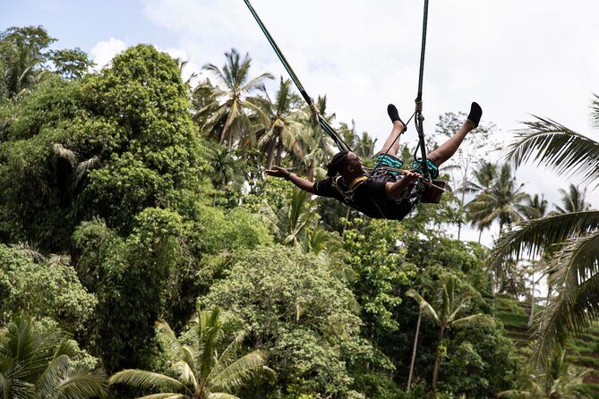 Bali White Water Rafting with Sacred Monkey Forest and Swing - Stop 3 at Sangeh Monkey Forest: Long-Tailed Macaques by Nutmeg Trees