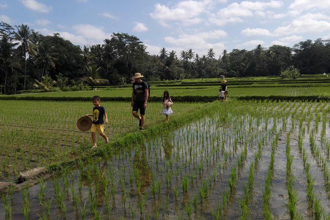 Balinese Cooking Class at Organic Farm - Welcome drink and the Mai Organic Farm introduction