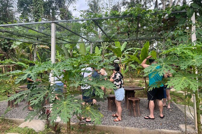 Balinese Cooking Class with Traditional Market Tour - Cooking in an open kitchen and making it your meal
