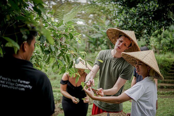 Balinese Farm Cooking Class by Pemulan Bali - Organic farm visit: produce, spices, and real context