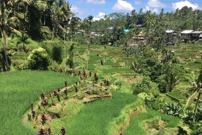 Balinese Life Style Tour - The 8:30 am Start and What the Day’s Timing Means