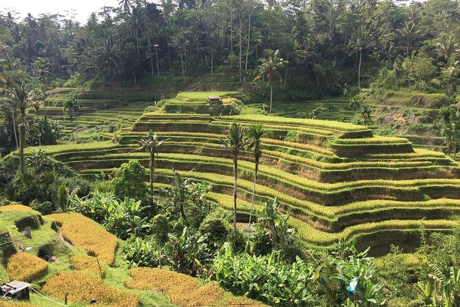 Balinese Life Style Tour - Gunung Kawi Sebatu Spring-Water Temple: A Calmer, Spiritual Stop
