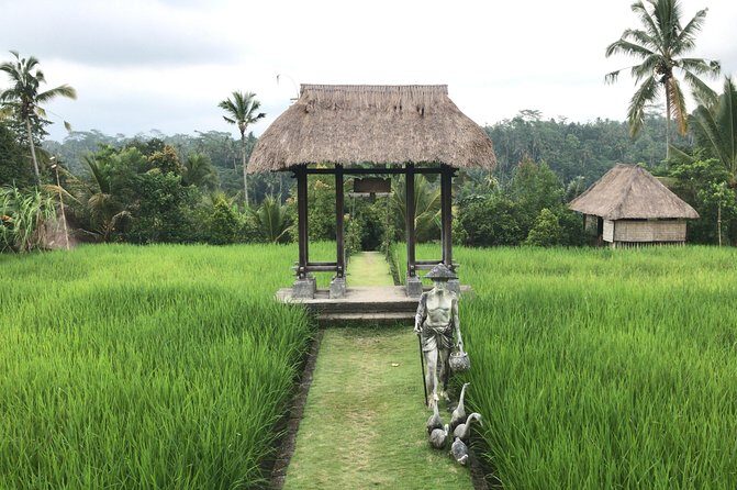 Balinese Life Style Tour - Kintamani and Mount Batur Views: The Volcano Moment