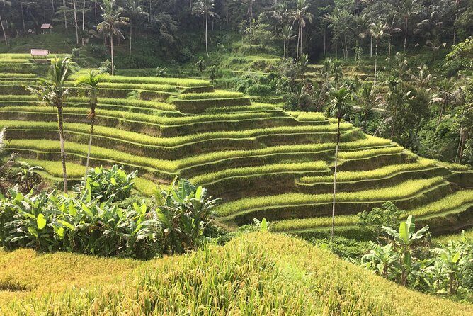 Balinese Life Style Tour - What’s Included in the Price, and What You Should Budget