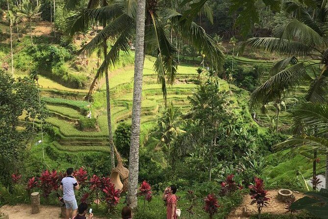 Balinese Life Style Tour - The Real Value: A Guide Who Makes the Sites Make Sense