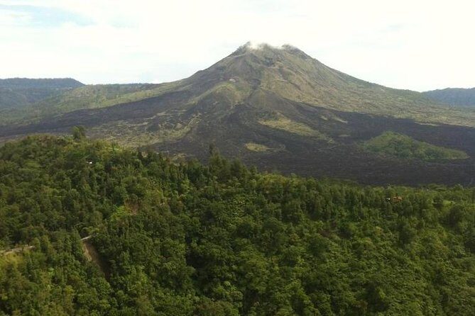 Balinese Life Style Tour - Tegalalang Rice Terraces and Tirta Empul: Views With a Purpose