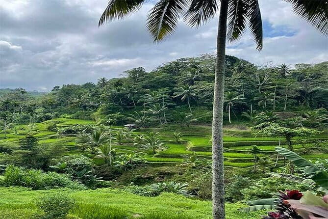 Banyumala Waterfall, Jatiluwih, Ulun Danu and Tanah Lot tours - Entering the Bali countryside loop: temples, terraces, and water