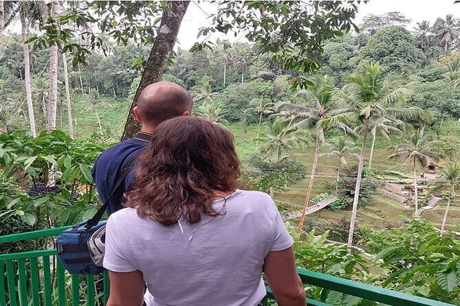 Banyumala Waterfall, Jatiluwih, Ulun Danu and Tanah Lot tours - Driver-guide makes a difference: what to watch for