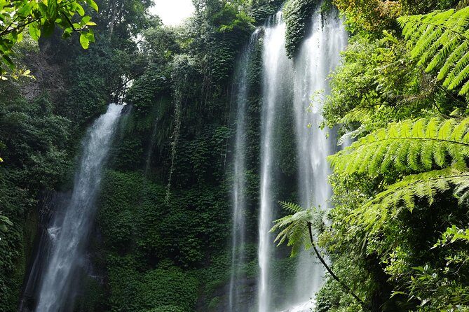 Banyuwana & Banyumala Waterfalls Tour Private - All-Inclusive - Why this north-Bali waterfall route feels like a full day