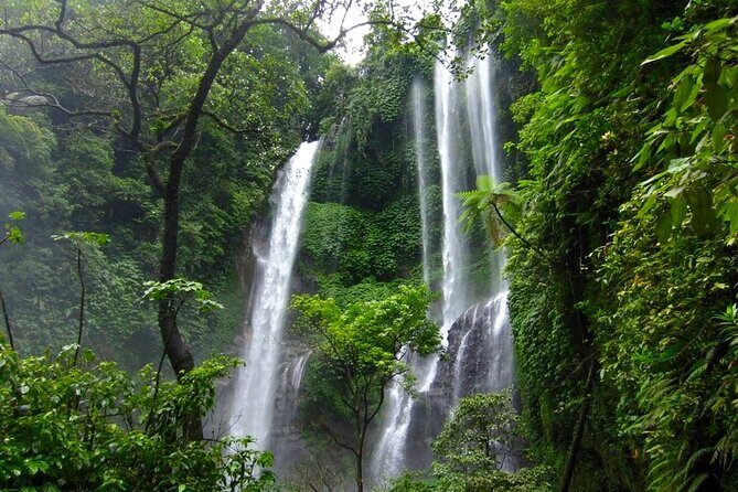 Banyuwana & Banyumala Waterfalls Tour Private - All-Inclusive - Coffee plantation stop: a budget check plus a sensory break