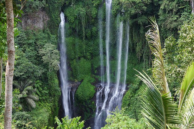 Banyuwana & Banyumala Waterfalls Tour Private - All-Inclusive - Price and value: what $50 buys you (and what it doesn’t)