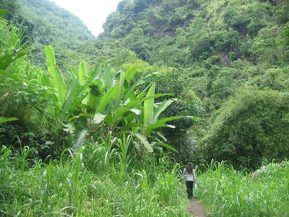 Batur Caldera Sunrise Trekking - Key highlights that shape the experience
