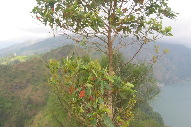 Batur Caldera Sunrise Trekking - Who this sunrise trek is best for (and who should skip it)