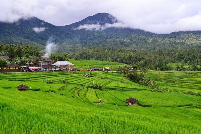 Beauty Of West Bali Tour (Private and All Inclusive) - Jatiluwih Green Land: The Rice Terraces Stop That’s Made for Pausing